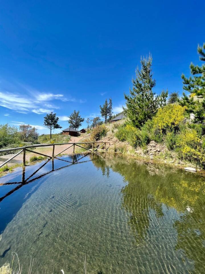 Mountain Eco Shelter 7 Hotel Funchal  Bagian luar foto